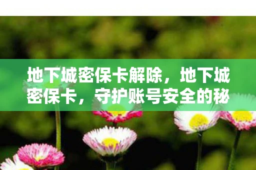 地下城密保卡解除，地下城密保卡，守护账号安全的秘密武器