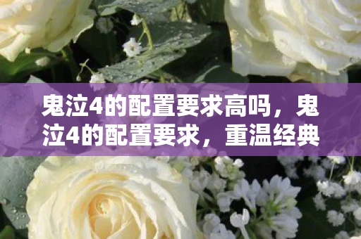 鬼泣4的配置要求高吗，鬼泣4的配置要求，重温经典，你需要这些硬件支持