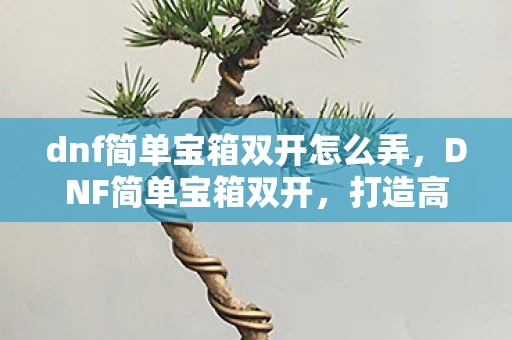 dnf简单宝箱双开怎么弄，DNF简单宝箱双开，打造高效游戏账号的秘诀