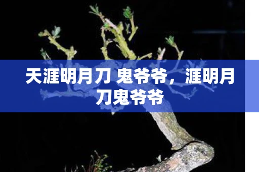 天涯明月刀 鬼爷爷，涯明月刀鬼爷爷