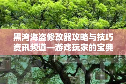 黑湾海盗修改器攻略与技巧资讯频道图片