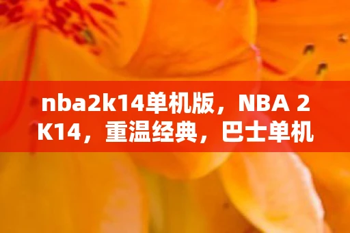 nba2k14单机版，NBA 2K14，重温经典，巴士单机之旅