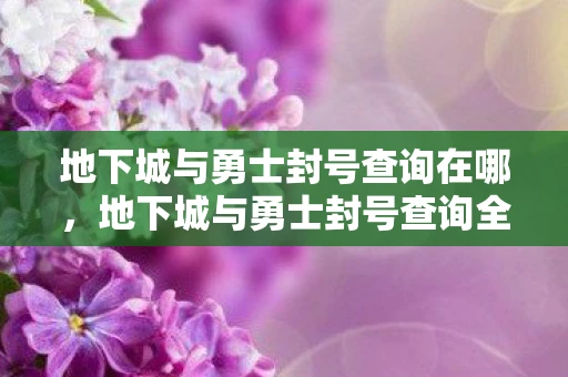地下城与勇士封号查询在哪，地下城与勇士封号查询全解析，如何避免与解决账号封禁问题