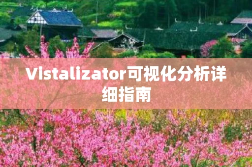 Vistalizator可视化分析详细指南图片