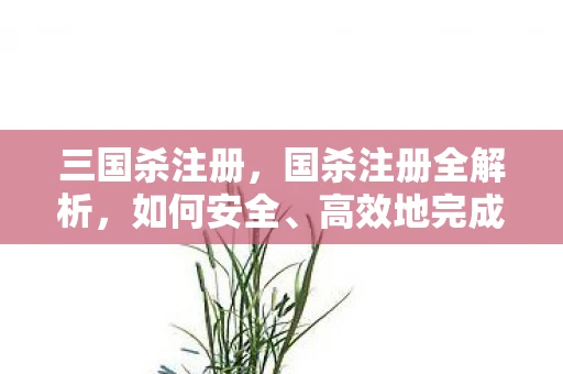 三国杀注册，国杀注册全解析，如何安全、高效地完成注册流程