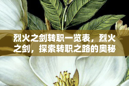 烈火之剑转职一览表，烈火之剑，探索转职之路的奥秘