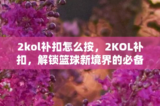2kol补扣怎么按，2KOL补扣，解锁篮球新境界的必备技巧