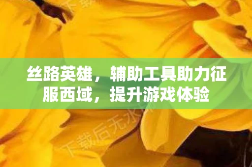 辅助工具助力征服西域图片