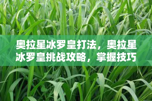 奥拉星冰罗皇打法，奥拉星冰罗皇挑战攻略，掌握技巧，轻松击败冰罗皇