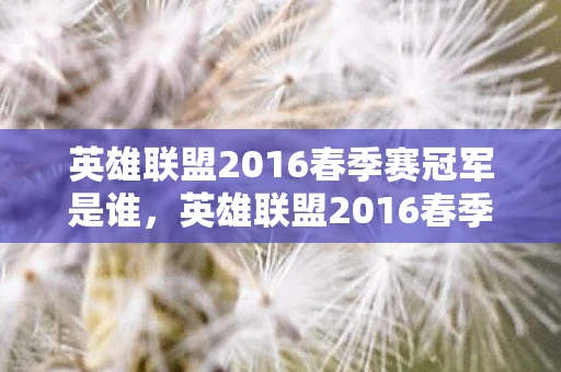 英雄联盟2016春季赛冠军是谁，英雄联盟2016春季赛，一场电竞盛宴的回顾与解析