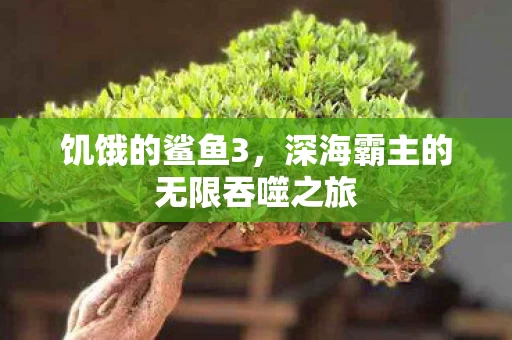 深海霸主的无限吞噬之旅图片