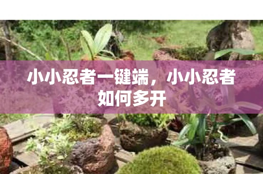 小小忍者一键端，小小忍者如何多开