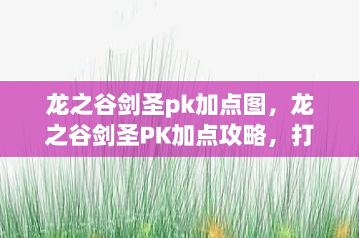 龙之谷剑圣pk加点图，龙之谷剑圣PK加点攻略，打造无敌战斗力的关键