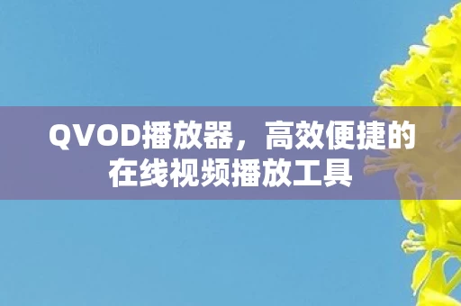 高效便捷的在线视频播放工具图片