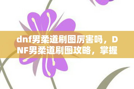 dnf男柔道刷图厉害吗，DNF男柔道刷图攻略，掌握核心技能，打造高效输出