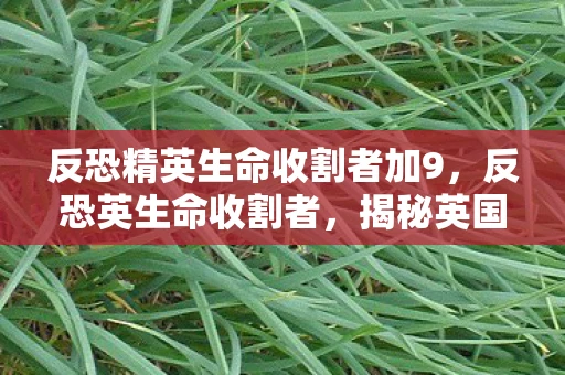 反恐精英生命收割者加9，反恐英生命收割者，揭秘英国反恐行动中的收割者无人机