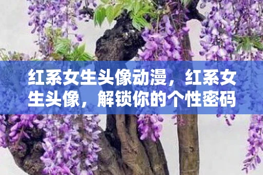 红系女生头像动漫，红系女生头像，解锁你的个性密码