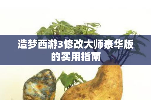 造梦西游3修改大师豪华版的实用指南图片