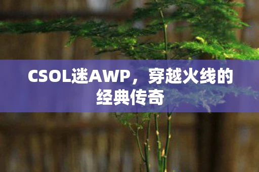 CSOL迷AWP，穿越火线的经典传奇
