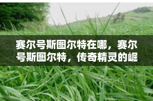 赛尔号斯图尔特在哪，赛尔号斯图尔特，传奇精灵的崛起