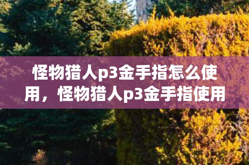 怪物猎人p3金手指怎么使用，怪物猎人p3金手指使用指南，打造你的游戏新体验