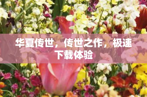 极速下载体验图片