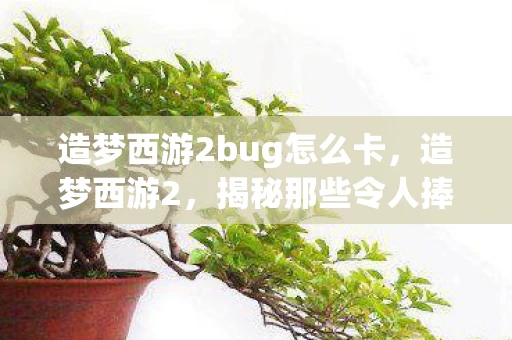 造梦西游2bug怎么卡，造梦西游2，揭秘那些令人捧腹的bug