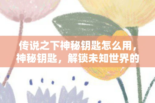 传说之下神秘钥匙怎么用，神秘钥匙，解锁未知世界的钥匙