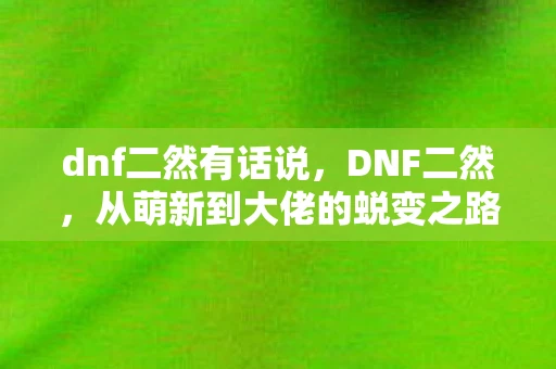 dnf二然有话说，DNF二然，从萌新到大佬的蜕变之路