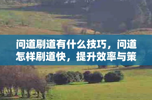 问道刷道有什么技巧，问道怎样刷道快，提升效率与策略分享