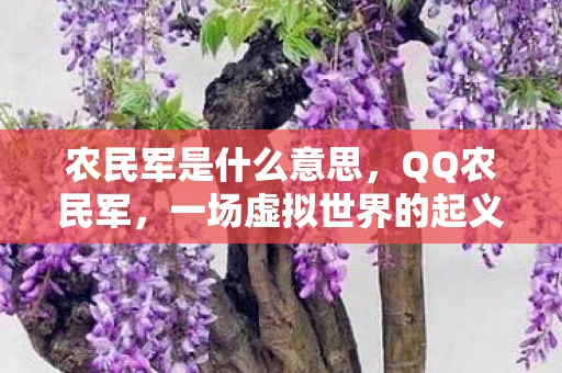 农民军是什么意思，QQ农民军，一场虚拟世界的起义