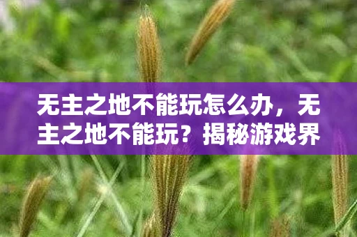 无主之地不能玩怎么办，无主之地不能玩？揭秘游戏界的未解之谜