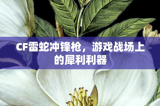 游戏战场上的犀利利器图片