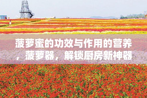 菠萝蜜的功效与作用的营养，菠萝器，解锁厨房新神器，让削菠萝变得如此简单