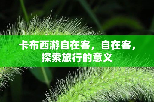 卡布西游自在客，自在客，探索旅行的意义
