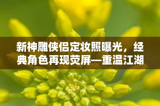 新神雕侠侣定妆照曝光图片