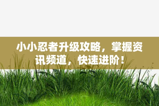 小小忍者升级攻略，掌握资讯频道，快速进阶！