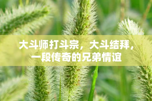 大斗师打斗宗，大斗结拜，一段传奇的兄弟情谊