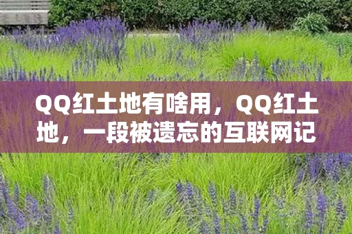 QQ红土地有啥用，QQ红土地，一段被遗忘的互联网记忆