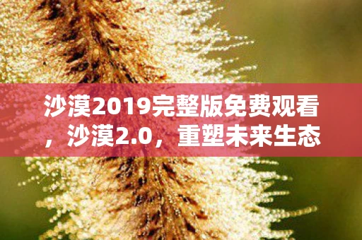 沙漠2019完整版免费观看，沙漠2.0，重塑未来生态的奇迹