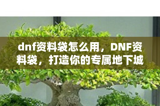dnf资料袋怎么用，DNF资料袋，打造你的专属地下城与勇士百科全书