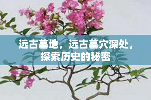 远古墓地，远古墓穴深处，探索历史的秘密