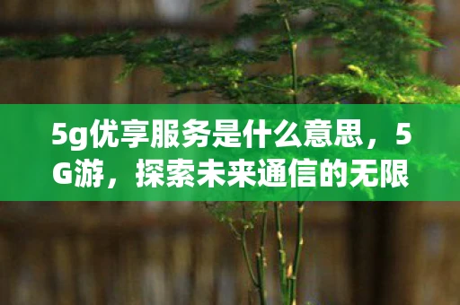 5g优享服务是什么意思，5G游，探索未来通信的无限可能