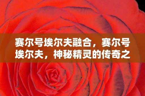 赛尔号埃尔夫融合，赛尔号埃尔夫，神秘精灵的传奇之旅