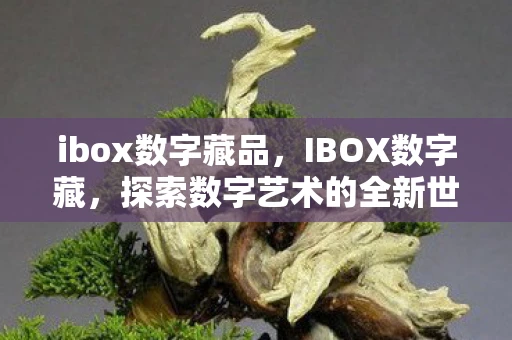 ibox数字藏品，IBOX数字藏，探索数字艺术的全新世界