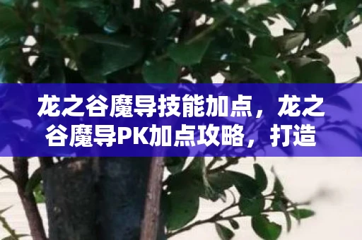 龙之谷魔导技能加点，龙之谷魔导PK加点攻略，打造无敌法师的秘诀