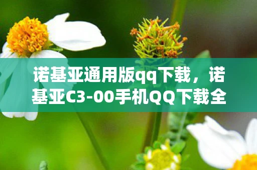 诺基亚通用版qq下载，诺基亚C3-00手机QQ下载全攻略