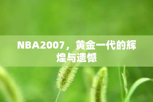 NBA2007，黄金一代的辉煌与遗憾