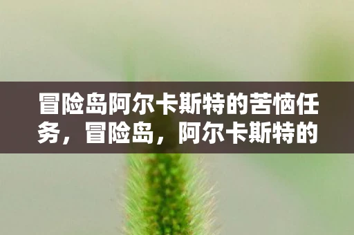 冒险岛阿尔卡斯特的苦恼任务，冒险岛，阿尔卡斯特的苦恼