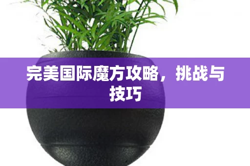 完美国际魔方攻略，挑战与技巧